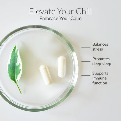 BIOptimizers Magnesium Breakthrough Supplement with 500mg - 7 Forms of Magnesium: Glycinate, Malate, Citrate, and More - Natural Support for Sleep and Cognitive Function -60 Capsules- Calming Vitamins