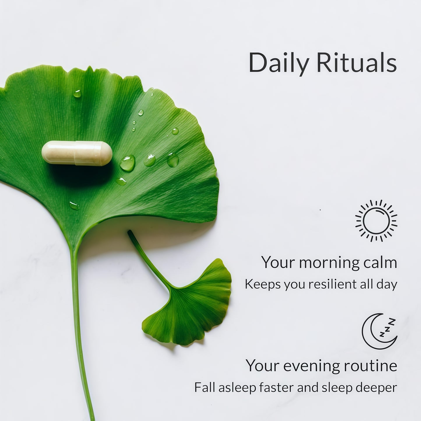 BIOptimizers Magnesium Breakthrough Supplement with 500mg - 7 Forms of Magnesium: Glycinate, Malate, Citrate, and More - Natural Support for Sleep and Cognitive Function -60 Capsules- Calming Vitamins